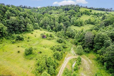 0 Daybrook Road Fairview WV 26570