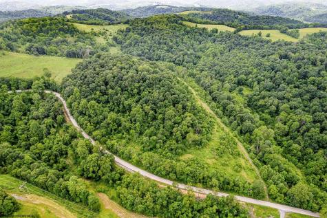 0 Daybrook Road Fairview WV 26570