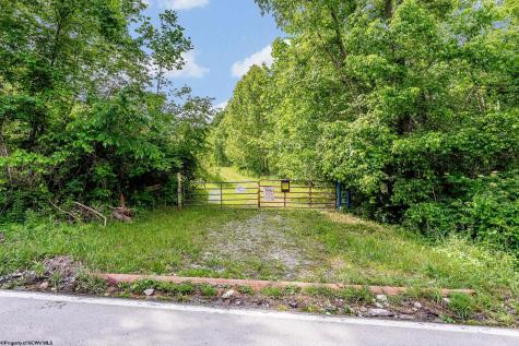 0 Daybrook Road Fairview WV 26570