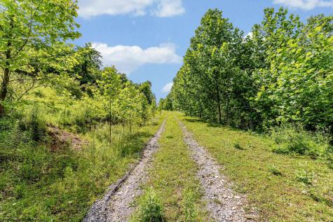 0 Daybrook Road Fairview WV 26570