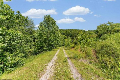 0 Daybrook Road Fairview WV 26570