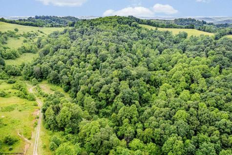 0 Daybrook Road Fairview WV 26570
