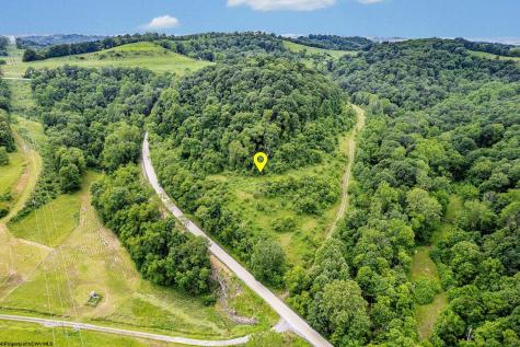 0 Daybrook Road Fairview WV 26570