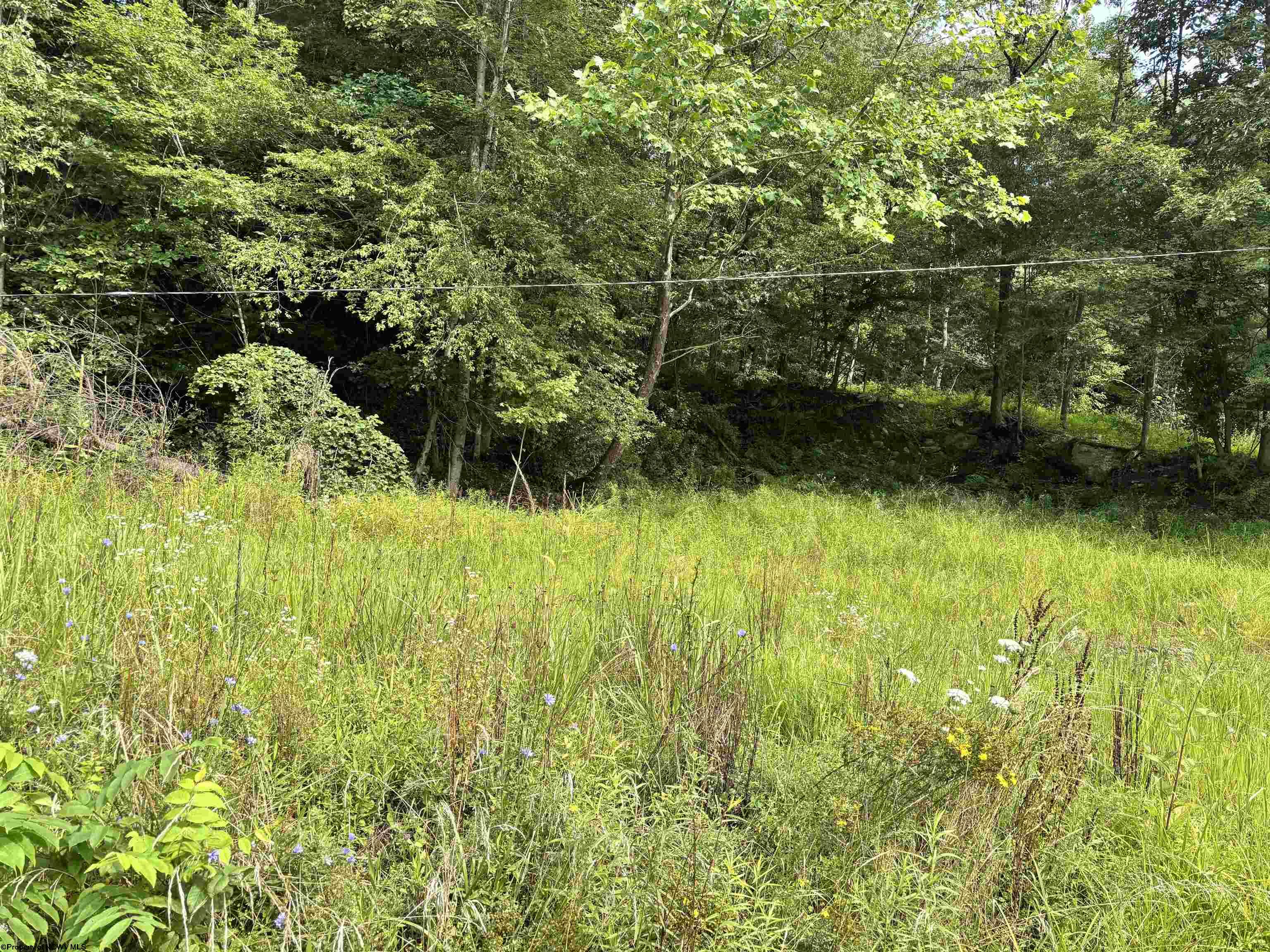 0 Marquess Road Tunnelton WV 26444