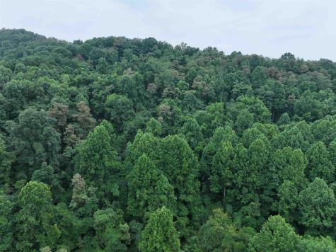 162 Sheets Hollow Road Wana WV 26590