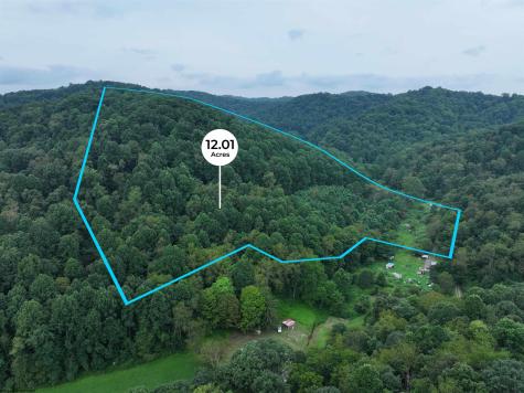 162 Sheets Hollow Road Wana WV 26590