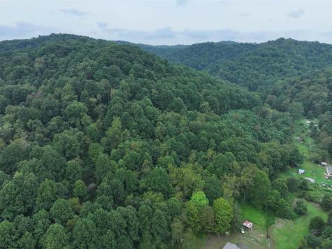 162 Sheets Hollow Road Wana WV 26590
