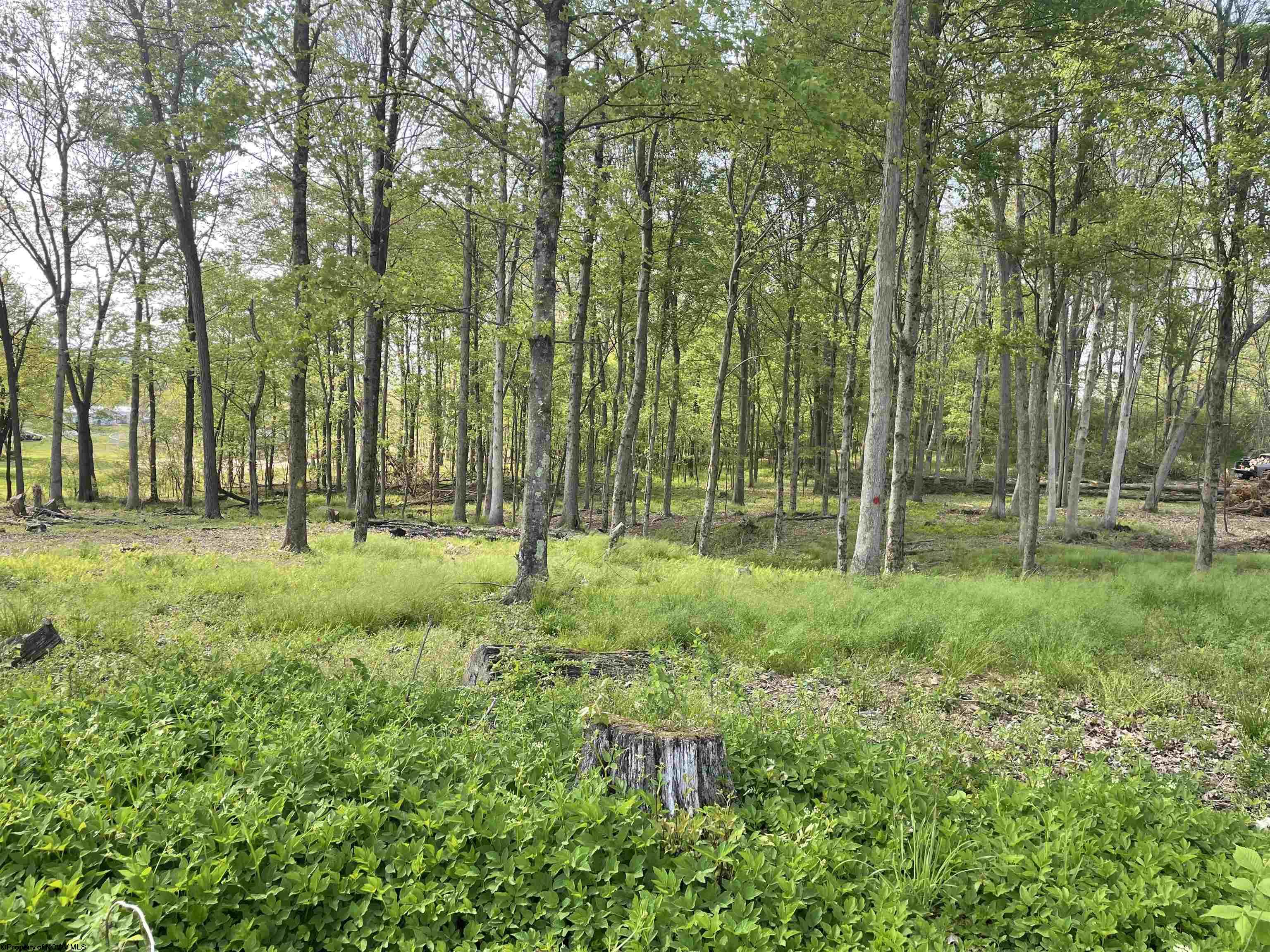 0 West Street Reedsville WV 26547