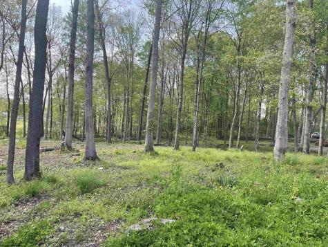 TBD West Street Reedsville WV 26547