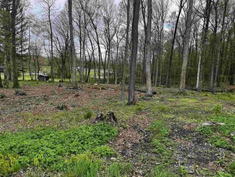 0 West Street Reedsville WV 26547