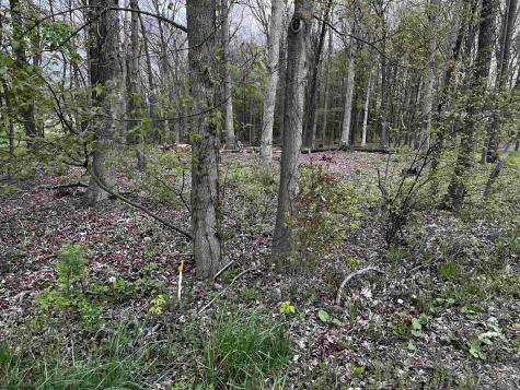 0 West Street Reedsville WV 26547
