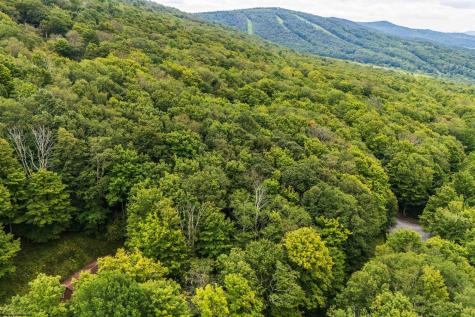 126 Mountainside Road Davis WV 26260