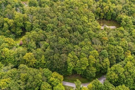 126 Mountainside Road Davis WV 26260