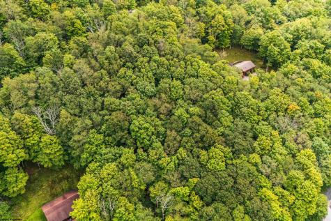126 Mountainside Road Davis WV 26260