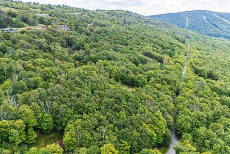 126 Mountainside Road Davis WV 26260