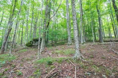126 Mountainside Road Davis WV 26260