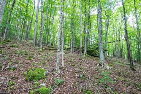 126 Mountainside Road Davis WV 26260