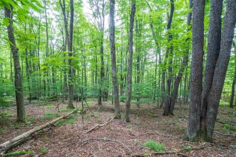 126 Mountainside Road Davis WV 26260