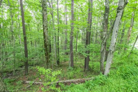 126 Mountainside Road Davis WV 26260