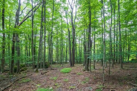 126 Mountainside Road Davis WV 26260