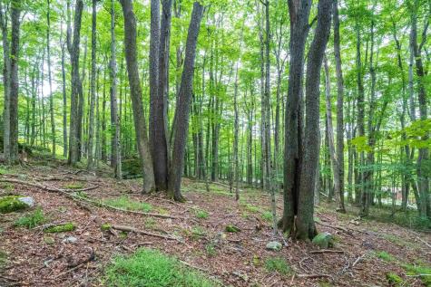 126 Mountainside Road Davis WV 26260