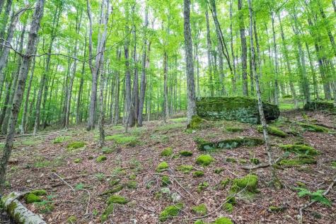 126 Mountainside Road Davis WV 26260