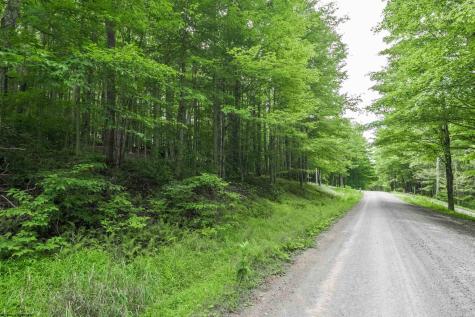 126 Mountainside Road Davis WV 26260