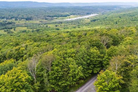 126 Mountainside Road Davis WV 26260