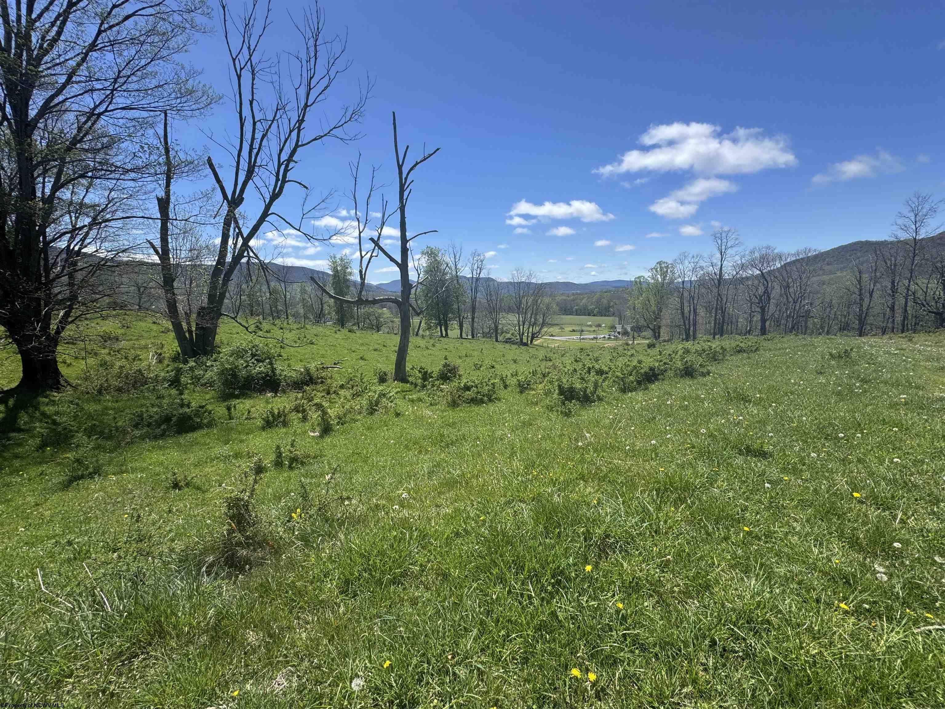 100 Miller Farm Lane Dryfork WV 26263-2626