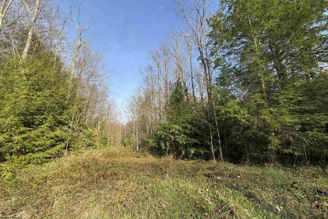 100 Miller Farm Lane Dryfork WV 26263-2626