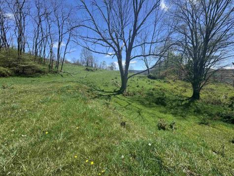 100 Miller Farm Lane Dryfork WV 26263-2626