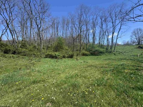 100 Miller Farm Lane Dryfork WV 26263-2626