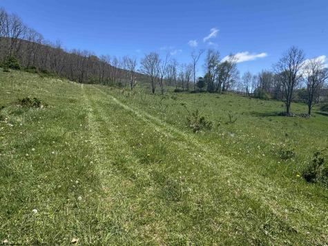 100 Miller Farm Lane Dryfork WV 26263-2626