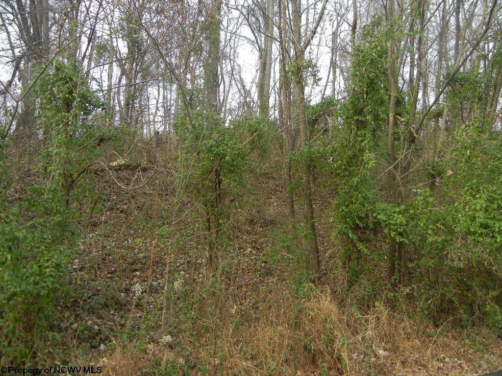 2 Lemley Street Morgantown WV 26505