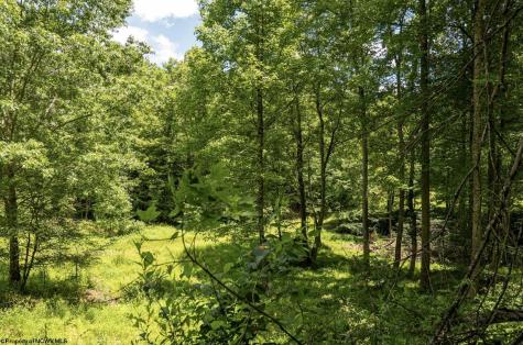 17 Lake Island Drive Belington WV 26250