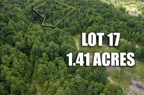17 Lake Island Drive Belington WV 26250