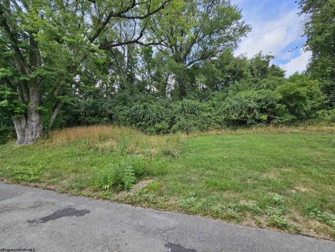 113 W Knotts Avenue Grafton WV 26354
