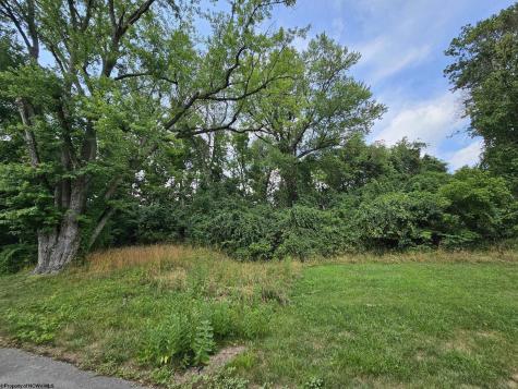 113 W Knotts Avenue Grafton WV 26354