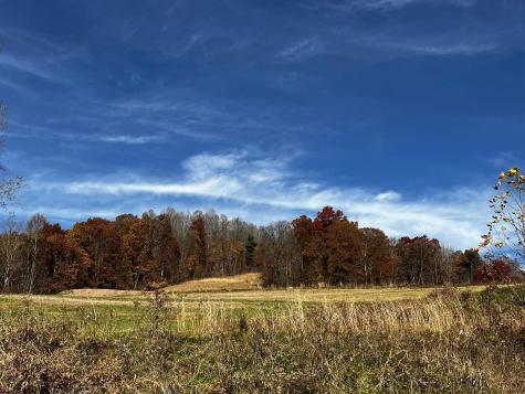 2878 Mackeyville Road Hambleton WV 26269