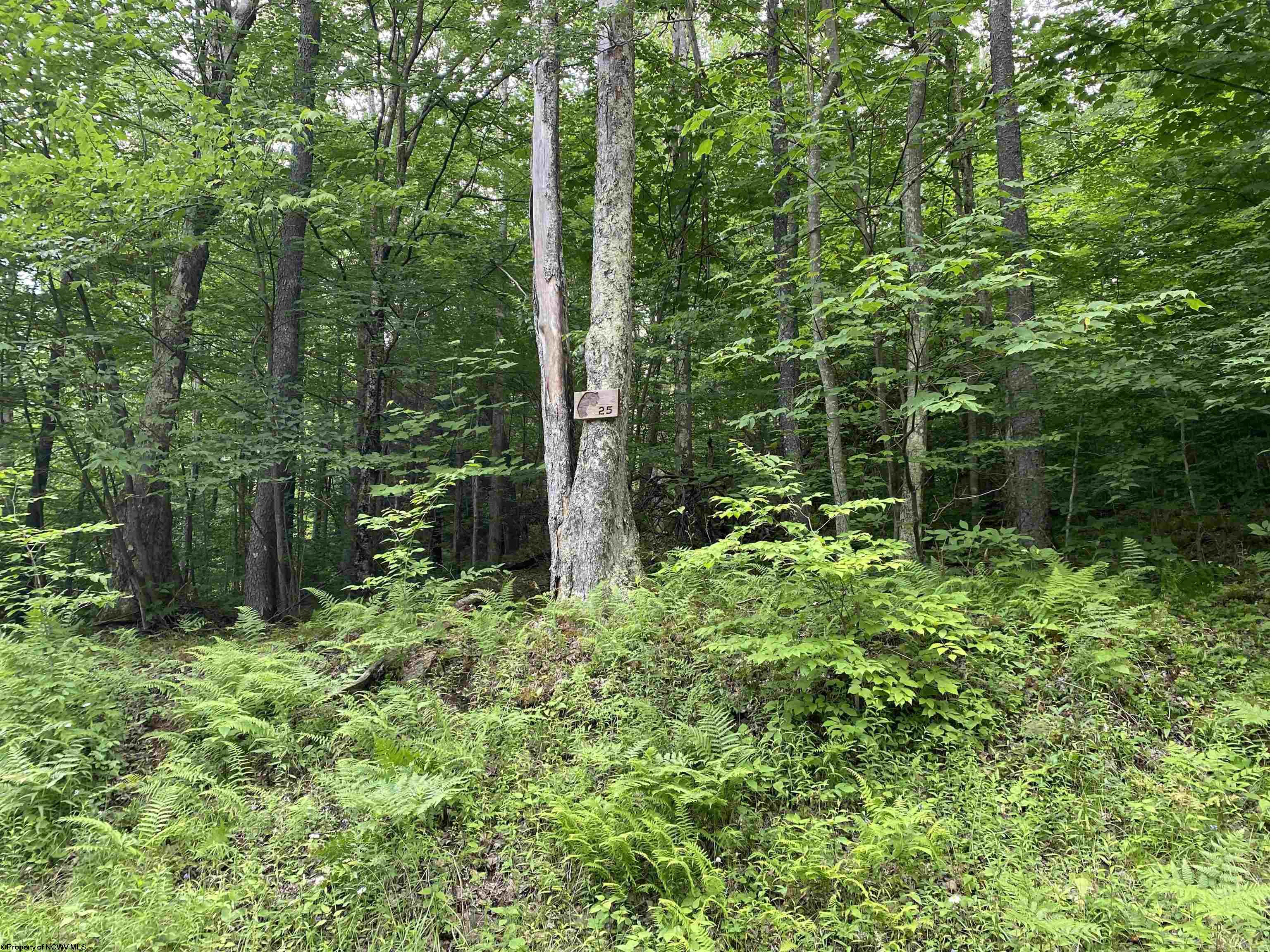 2 Teakwood Drive Davis WV 26260