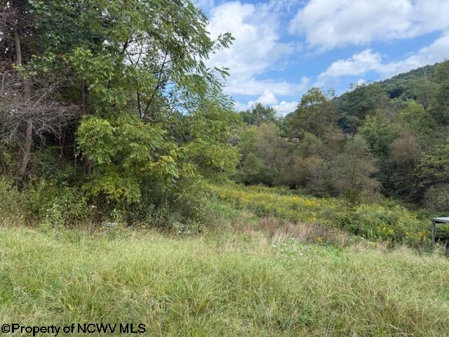 2229 Morgantown Pike Belington WV 26250