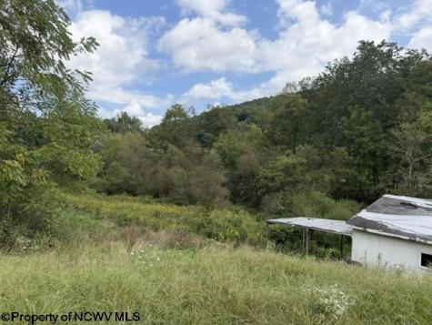 2229 Morgantown Pike Belington WV 26250