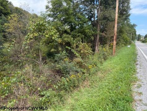 2229 Morgantown Pike Belington WV 26250