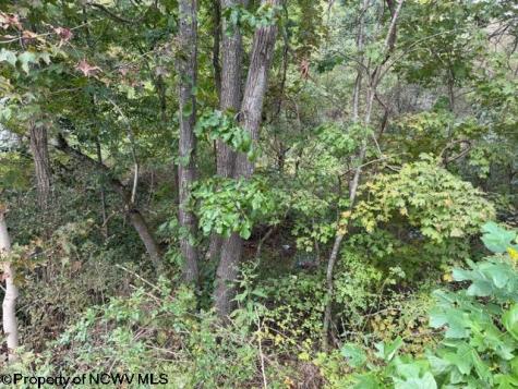 2229 Morgantown Pike Belington WV 26250