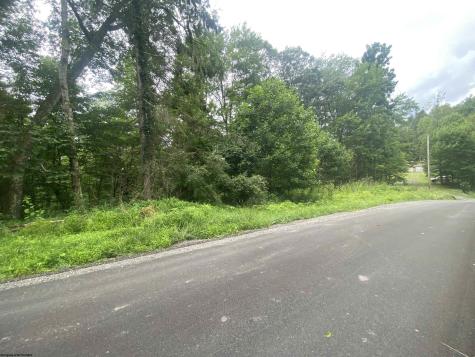 0 Limestone Road Parsons WV 26287