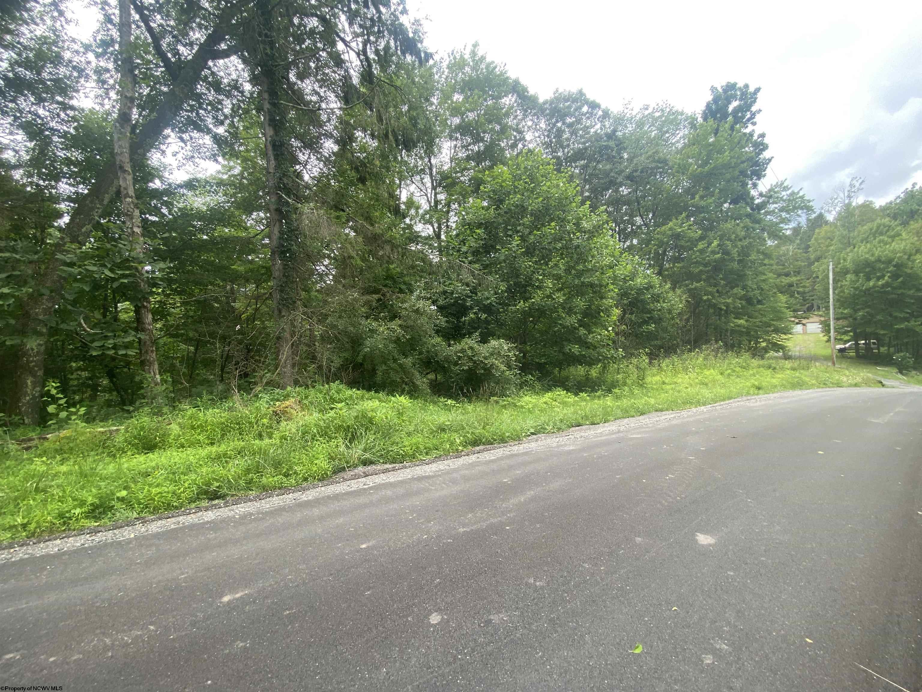 0 Limestone Road Parsons WV 26287