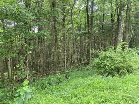 0 Limestone Road Parsons WV 26287