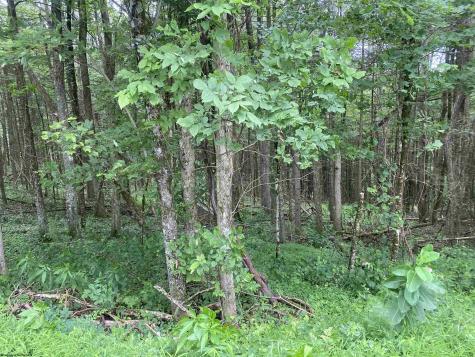 0 Limestone Road Parsons WV 26287