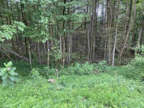 0 Limestone Road Parsons WV 26287