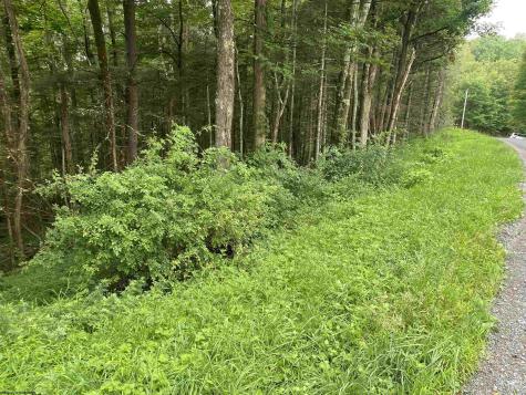 0 Limestone Road Parsons WV 26287